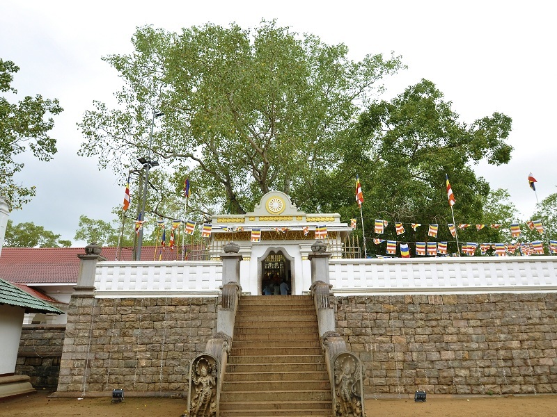 072089517Anuaradhapura_Maha_Bodhi